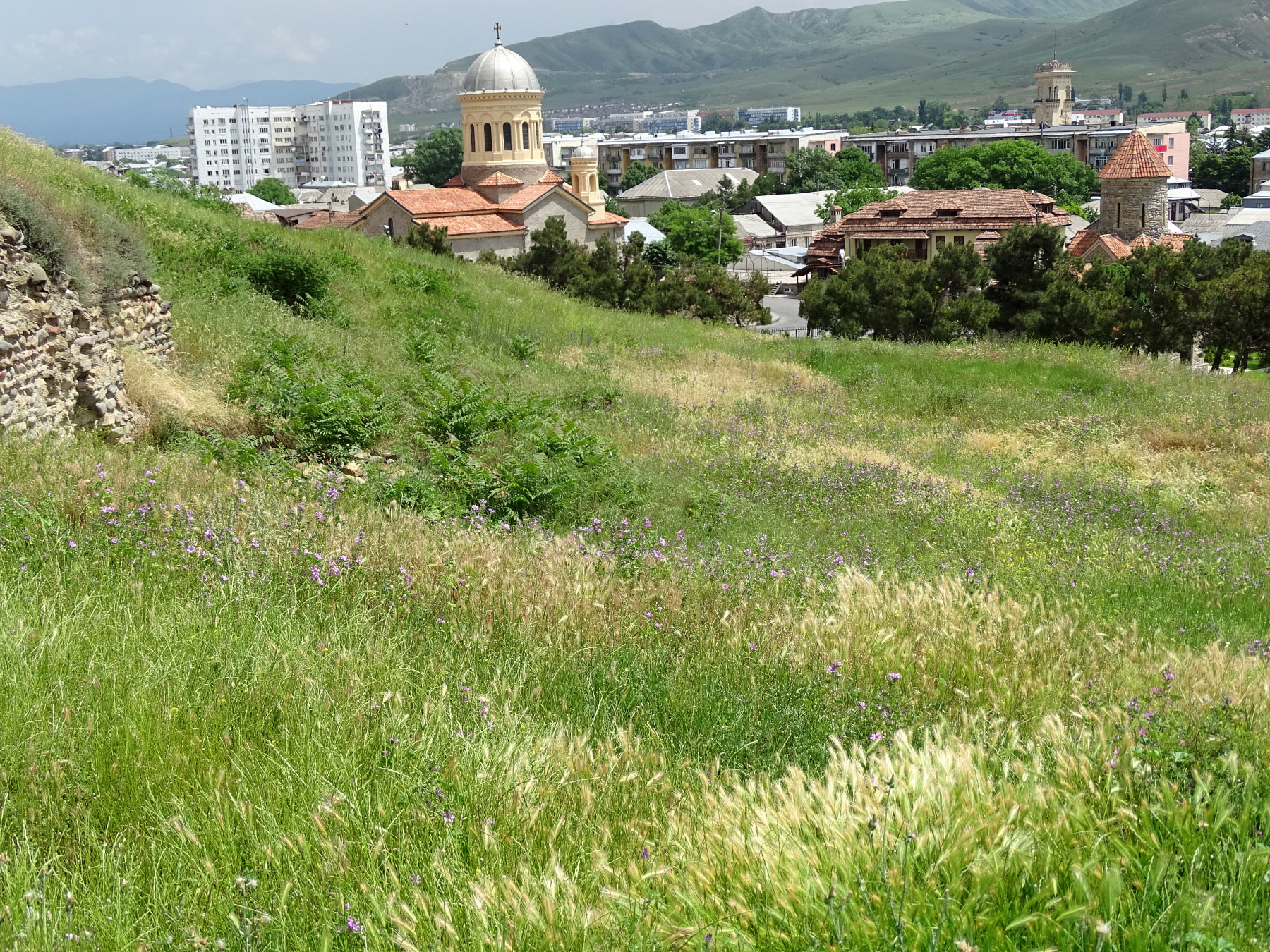 Gori